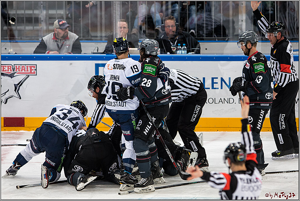 Koelner Haie - ERC Ingolstadt, 23.10.2016